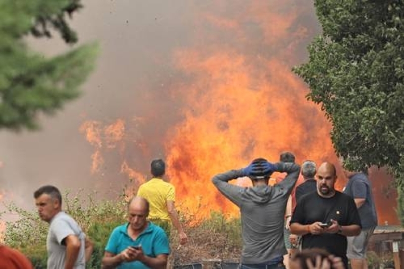 Das Feuer zerstört etwa 700.000 Hektar Wald in Europa