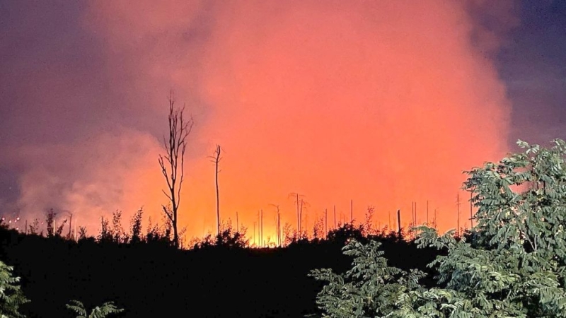 Waldbrand in Brandenburg: Die Bevölkerung muss 