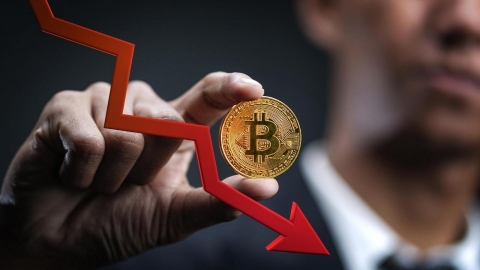 Bitcoin scende a 24.660$ per la prima volta dal 2020