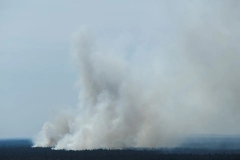 Explosiones en depósitos de armas y explosivos en Berlín destruyen más de 50 hectáreas de bosque: El campamento lleva más de 19 horas detonando explosivos, la policía y el ejército no pueden acercarse, los primeros robots de reconocimiento llegan a la zona, pero no funcionan.